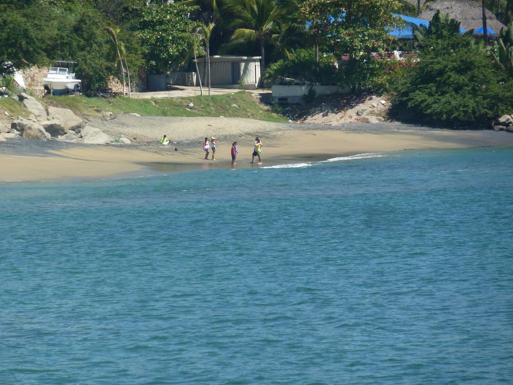 Dolphin Cove Inn 曼萨尼约 外观 照片