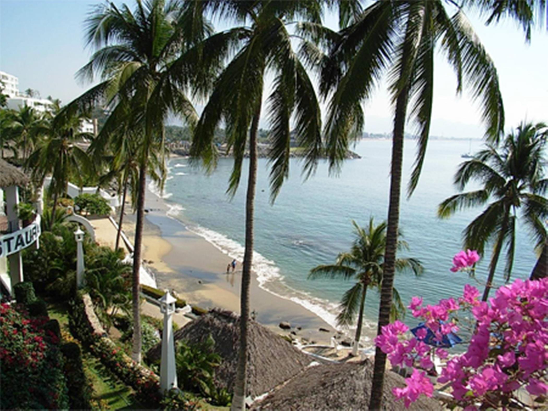 Dolphin Cove Inn 曼萨尼约 外观 照片