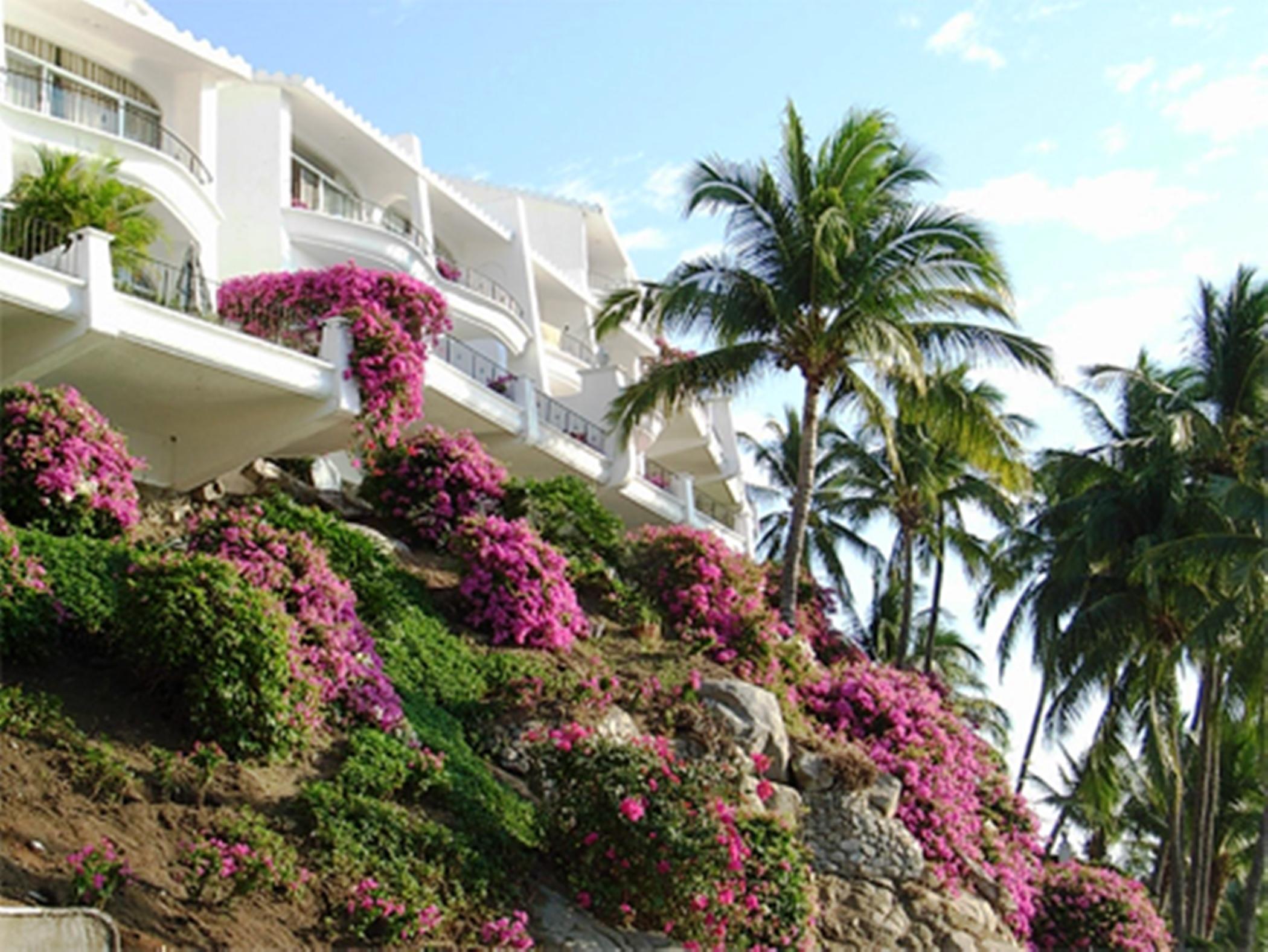Dolphin Cove Inn 曼萨尼约 外观 照片
