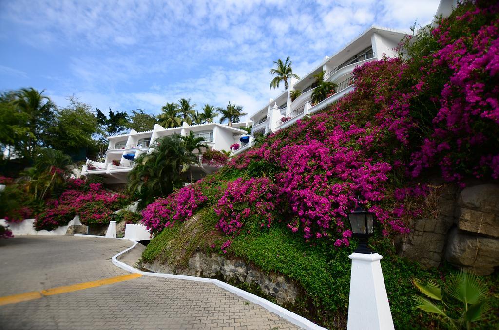 Dolphin Cove Inn 曼萨尼约 外观 照片